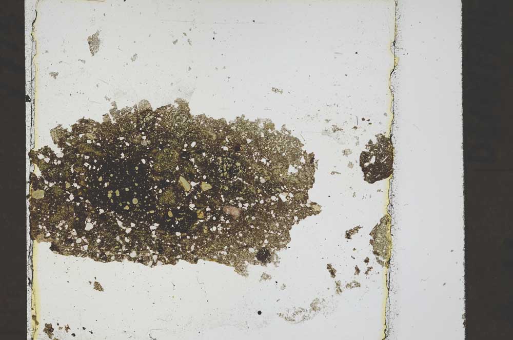 Plane Polarized, S45592