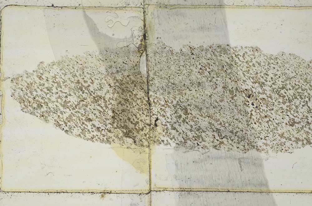 Plane Polarized, S45627