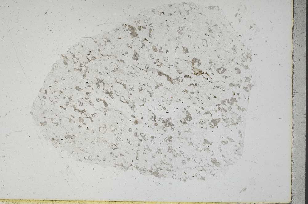 Plane Polarized, S45629