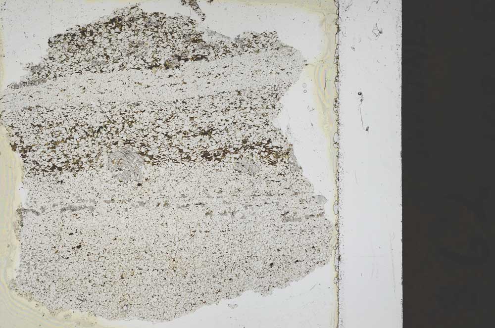 Plane Polarized, S45641