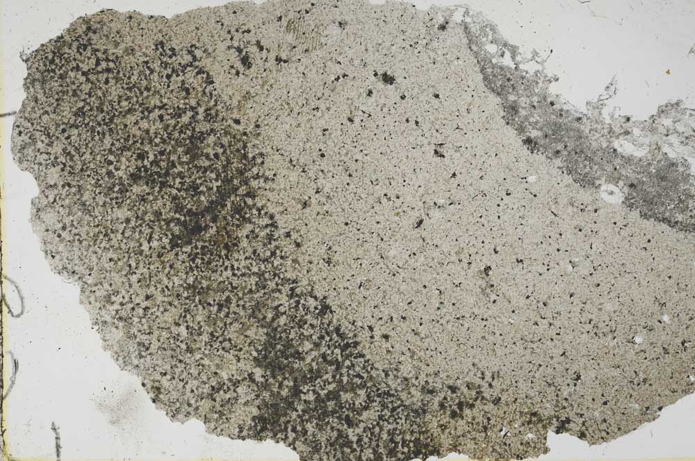 Plane Polarized, S45653