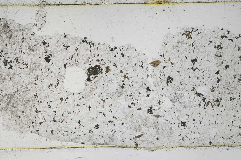 Plane Polarized, S45662