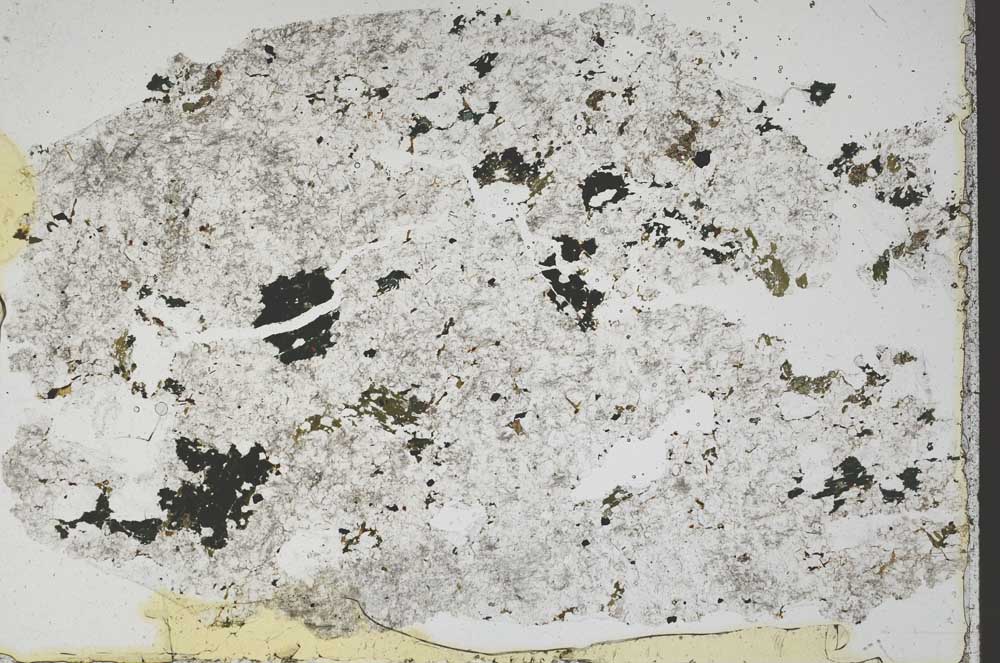 Plane Polarized, S45670