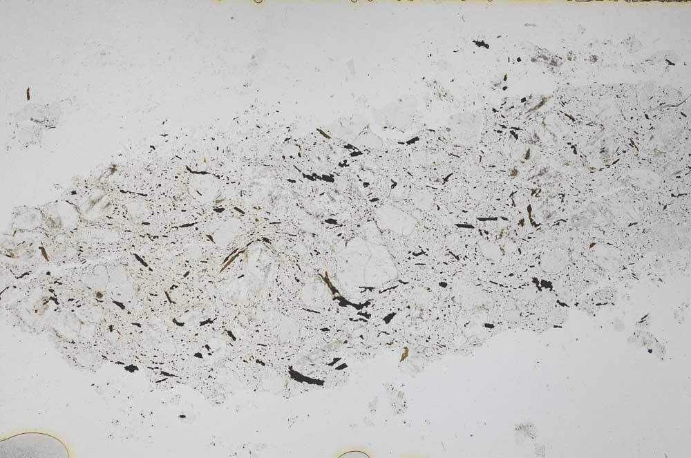 Plane Polarized, S45699