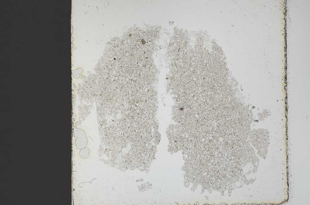 Plane Polarized, S45848