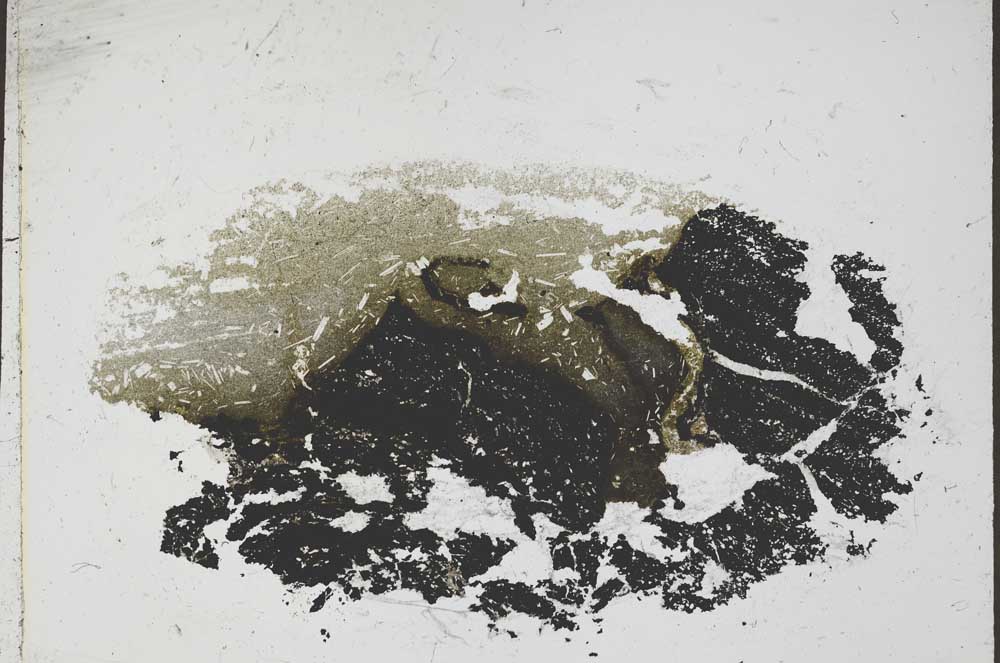 Plane Polarized, S45866