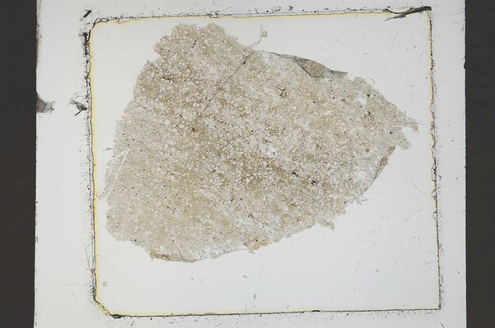 Plane Polarized, S45891