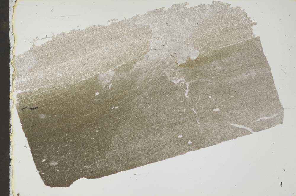 Plane Polarized, S45911