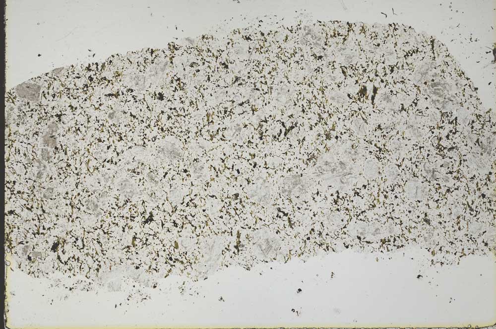 Plane Polarized, S45938