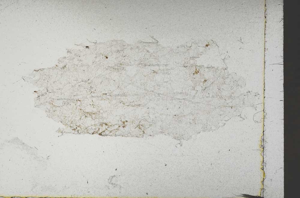 Plane Polarized, S45942