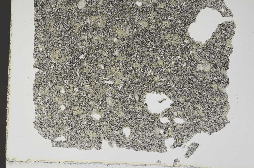 Plane Polarized, S46022