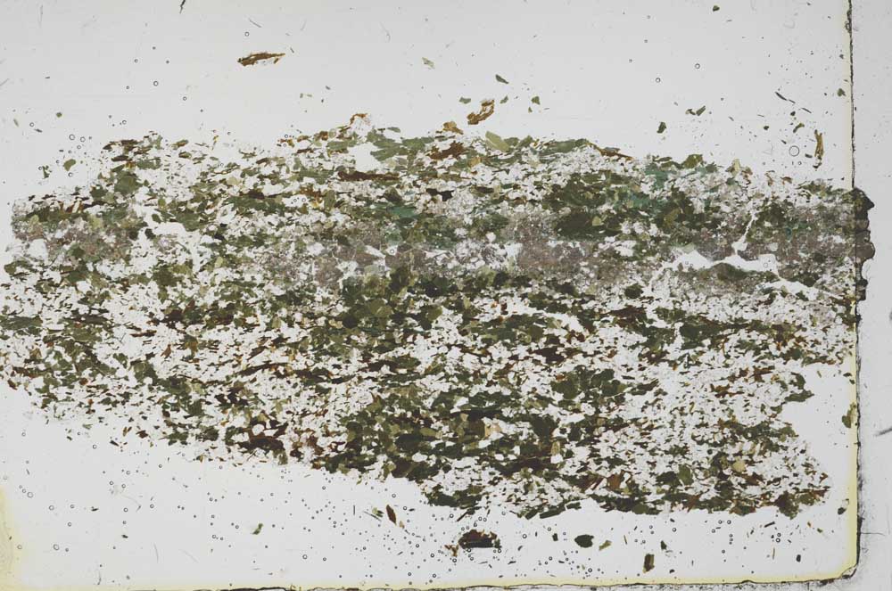 Plane Polarized, S46025