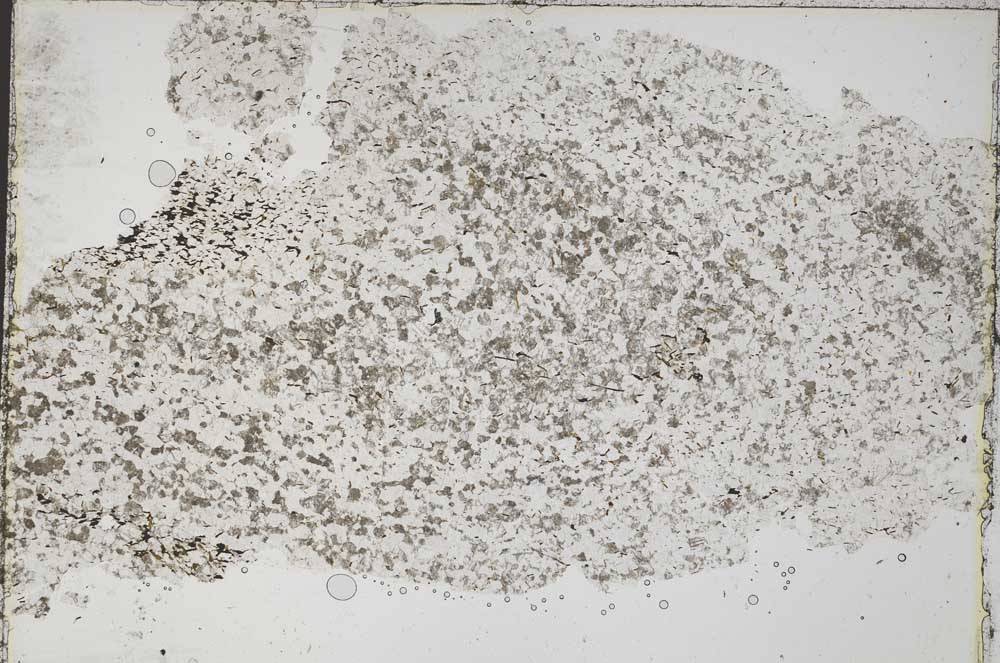 Plane Polarized, S46031