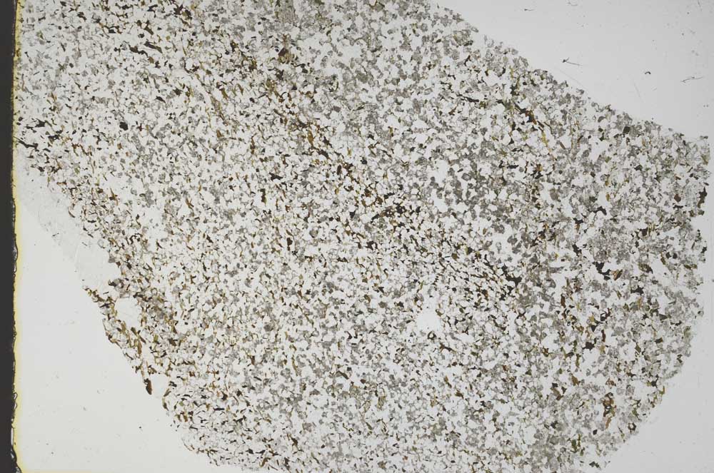 Plane Polarized, S46047