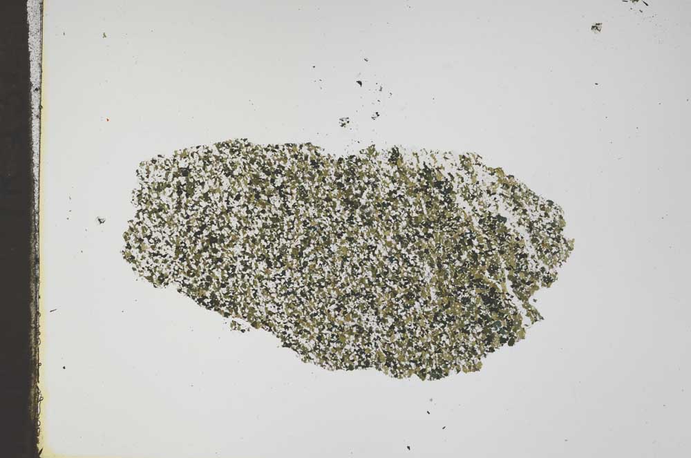 Plane Polarized, S46048