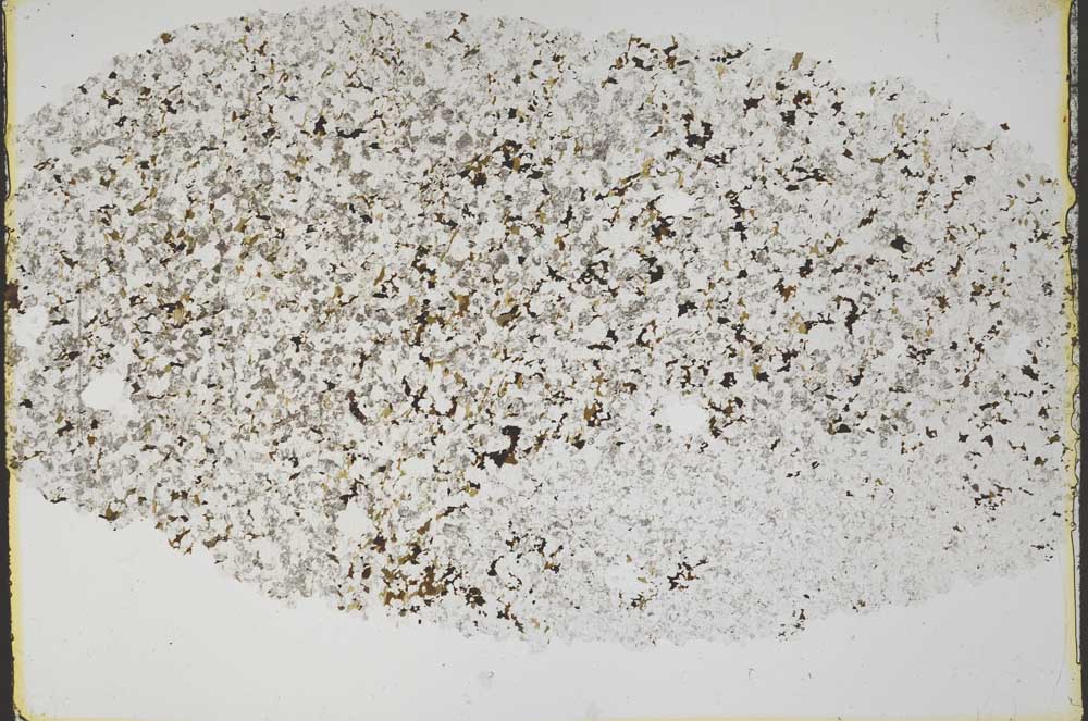 Plane Polarized, S46049