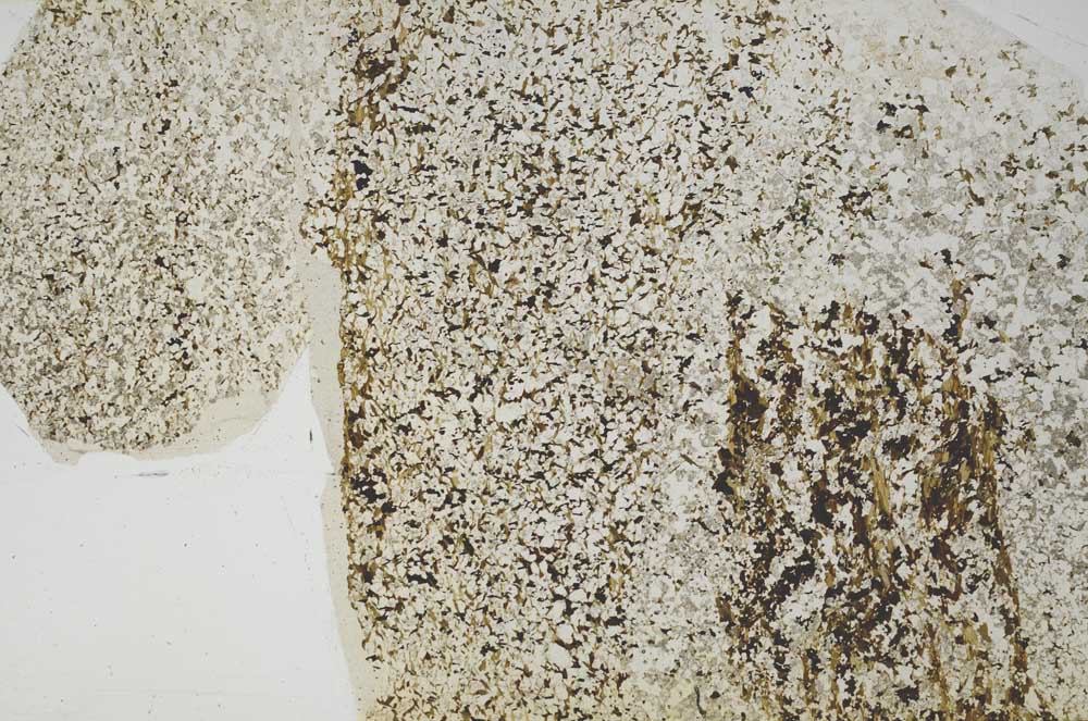 Plane Polarized, S46049/A