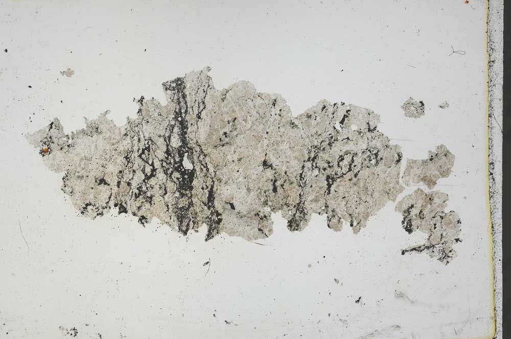 Plane Polarized, S46077