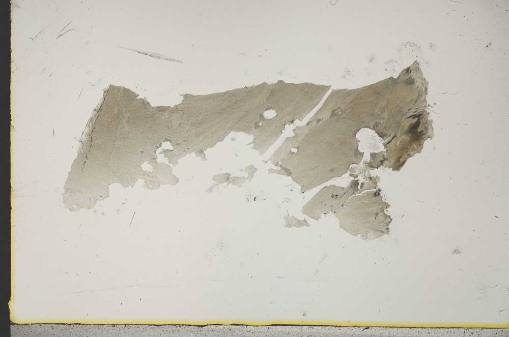 Plane Polarized, S46151