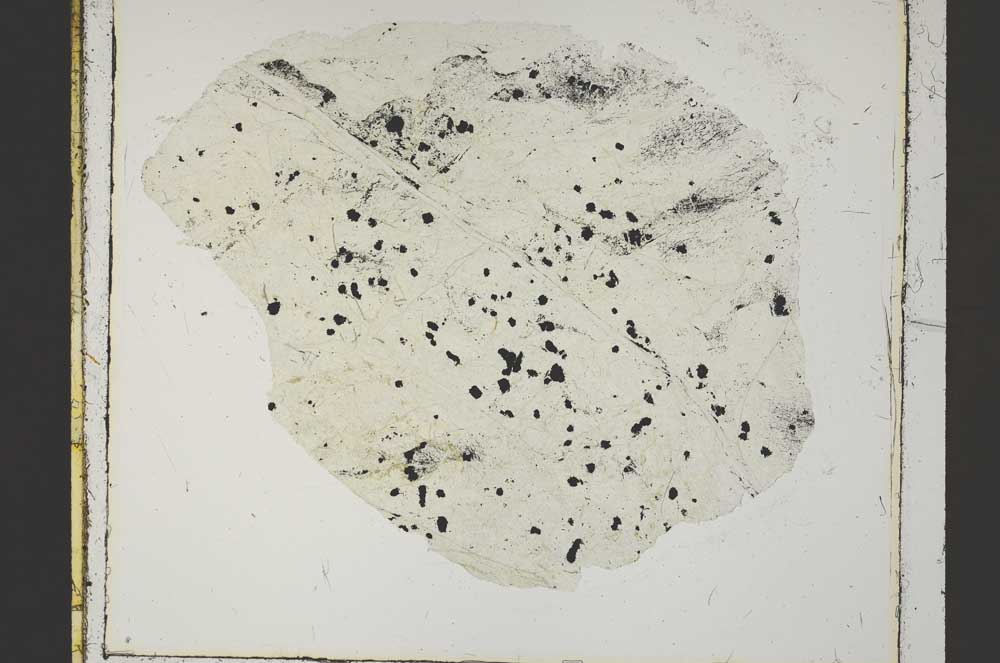 Plane Polarized, S46157