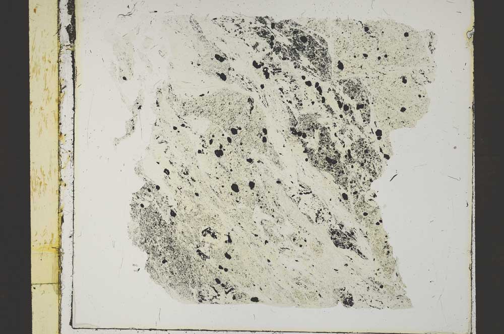 Plane Polarized, S46158