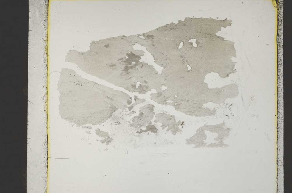 Plane Polarized, S46159