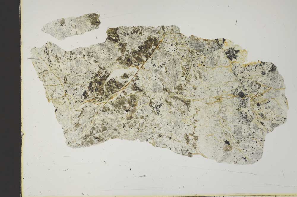 Plane Polarized, S46161