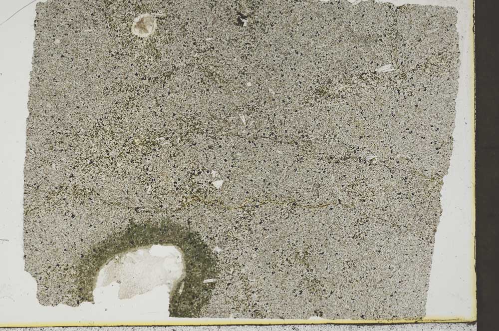 Plane Polarized, S46189