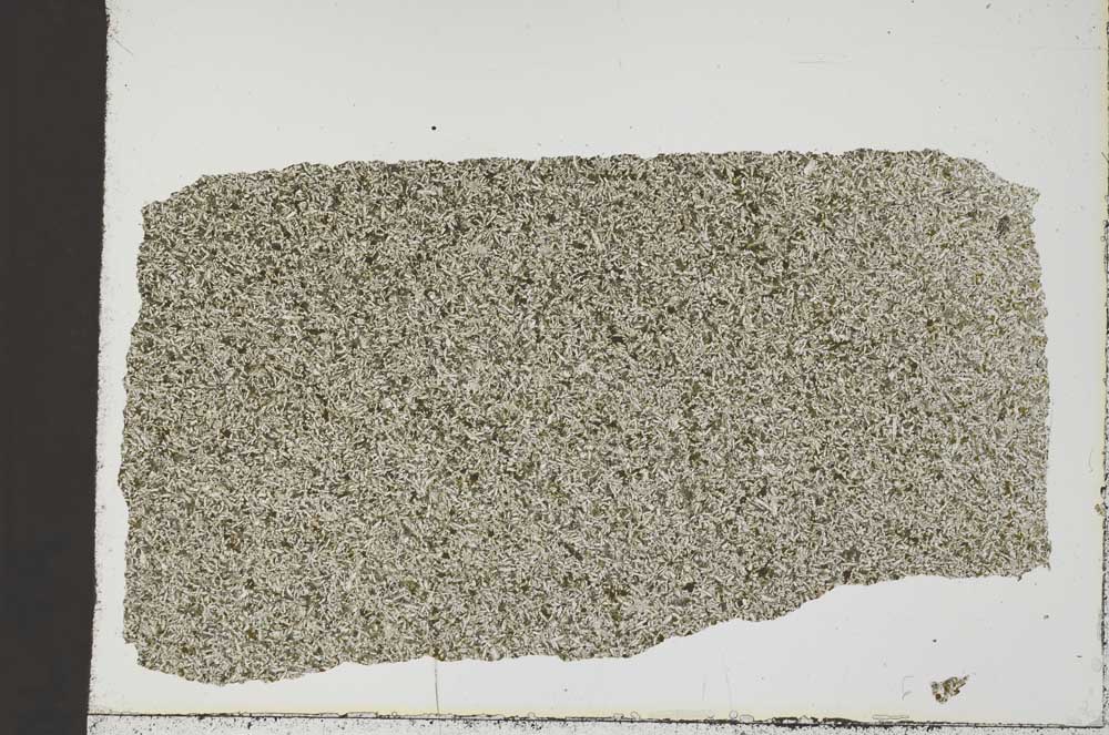 Plane Polarized, S46192