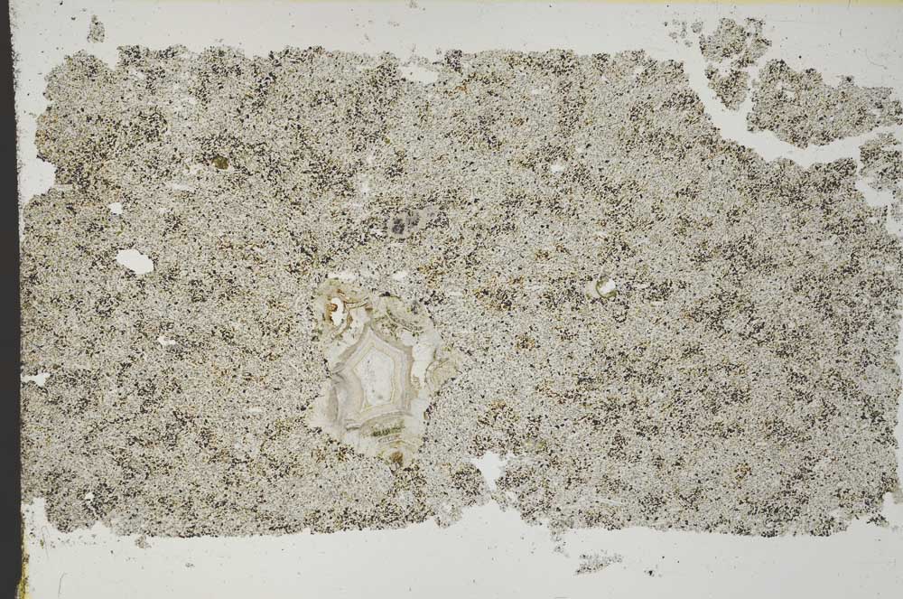 Plane Polarized, S46193