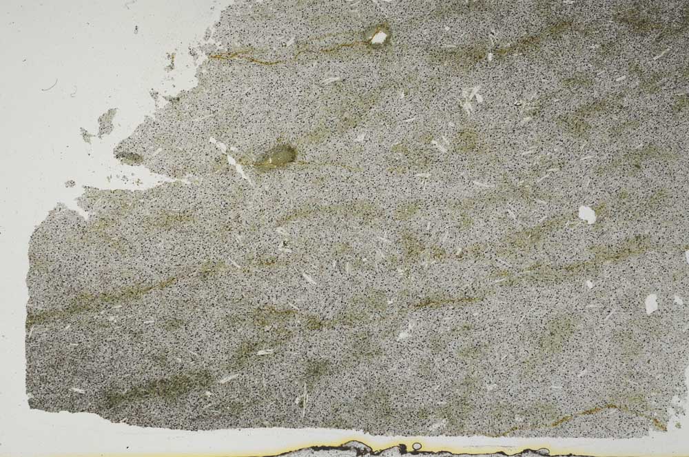 Plane Polarized, S46209