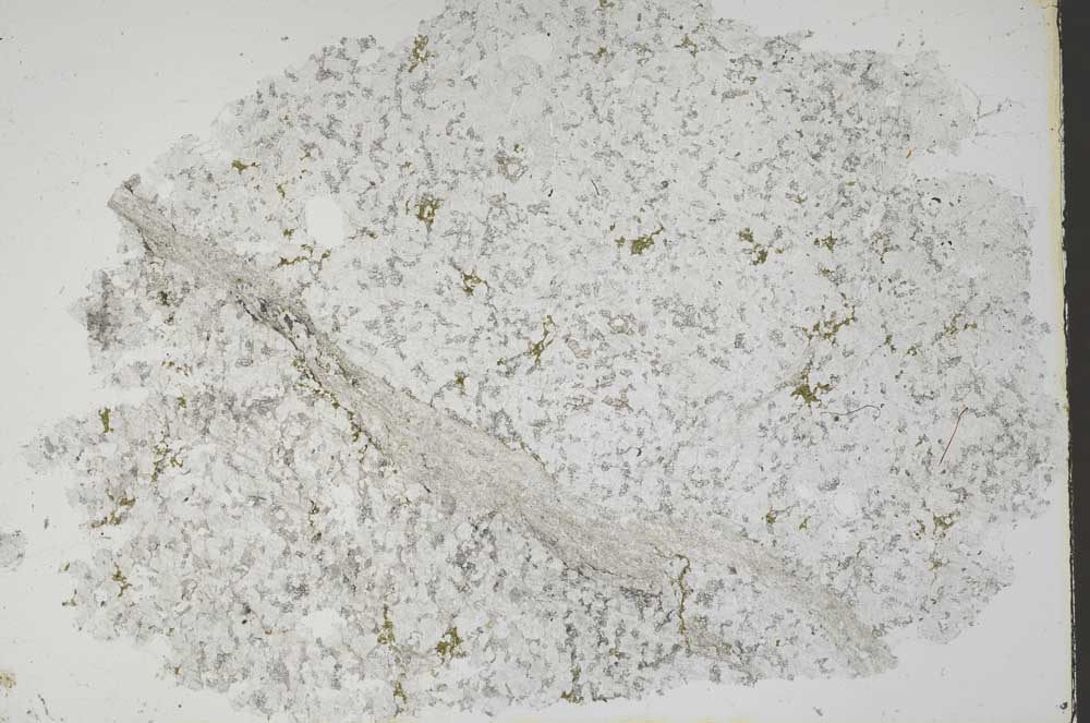 Plane Polarized, S46252