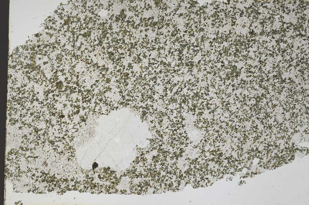 Plane Polarized, S46270