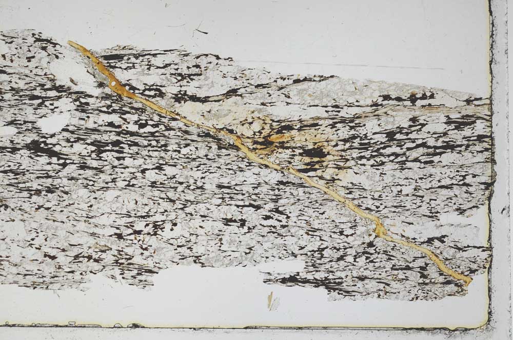 Plane Polarized, S46278