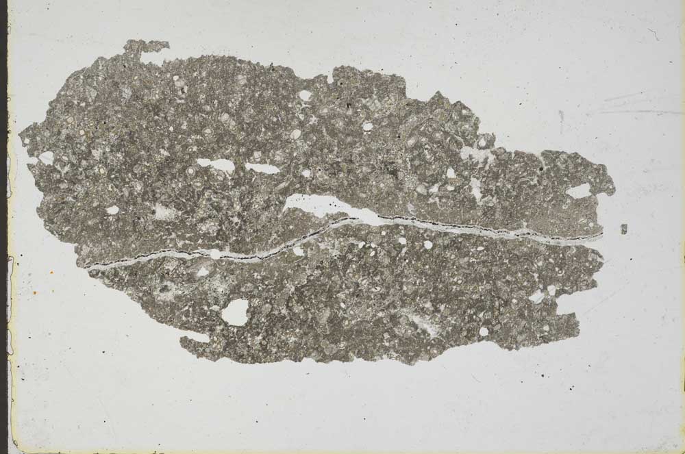 Plane Polarized, S46334
