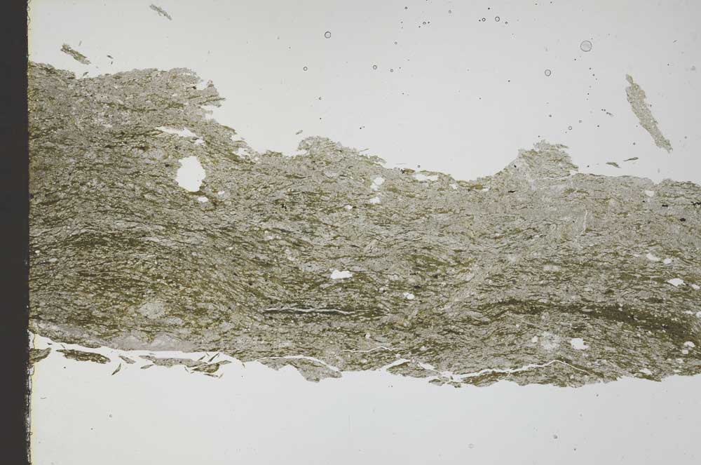 Plane Polarized, S46340