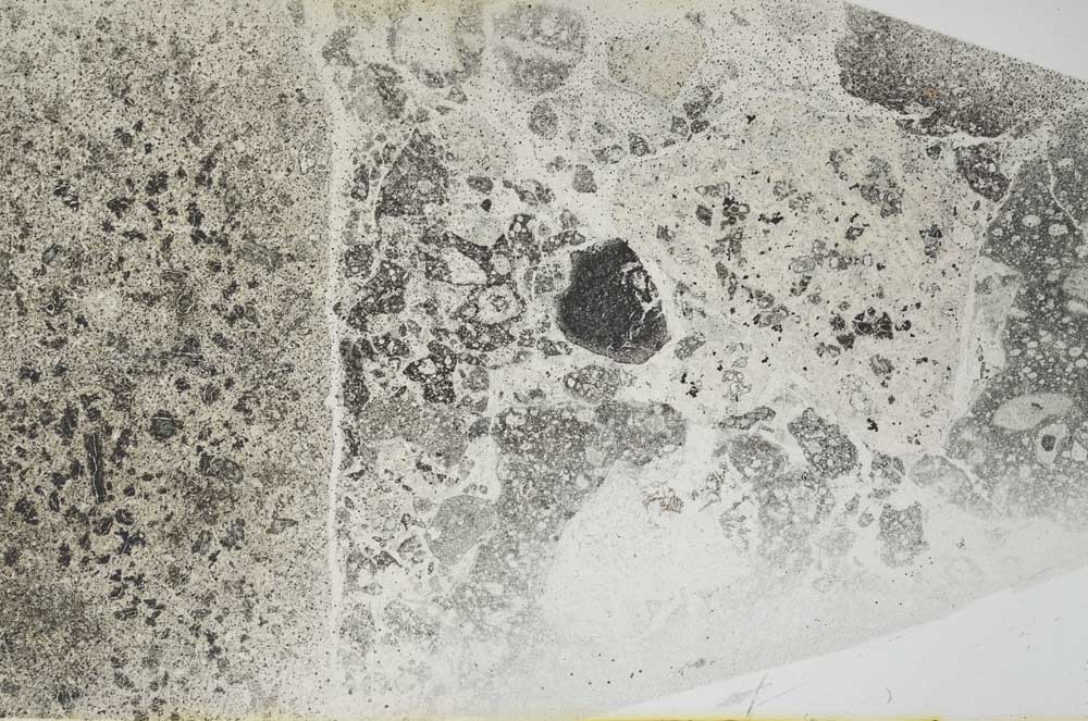 Plane Polarized, S46367