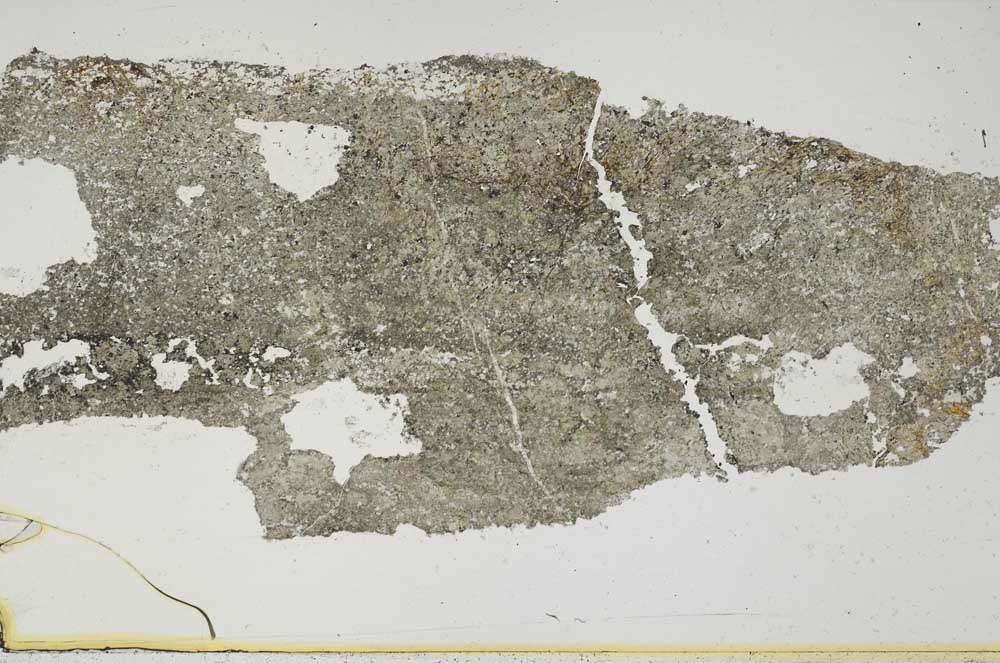 Plane Polarized, S46431