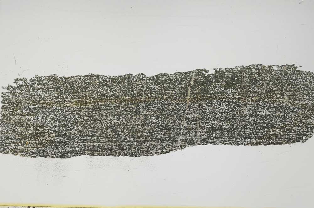 Plane Polarized, S46436