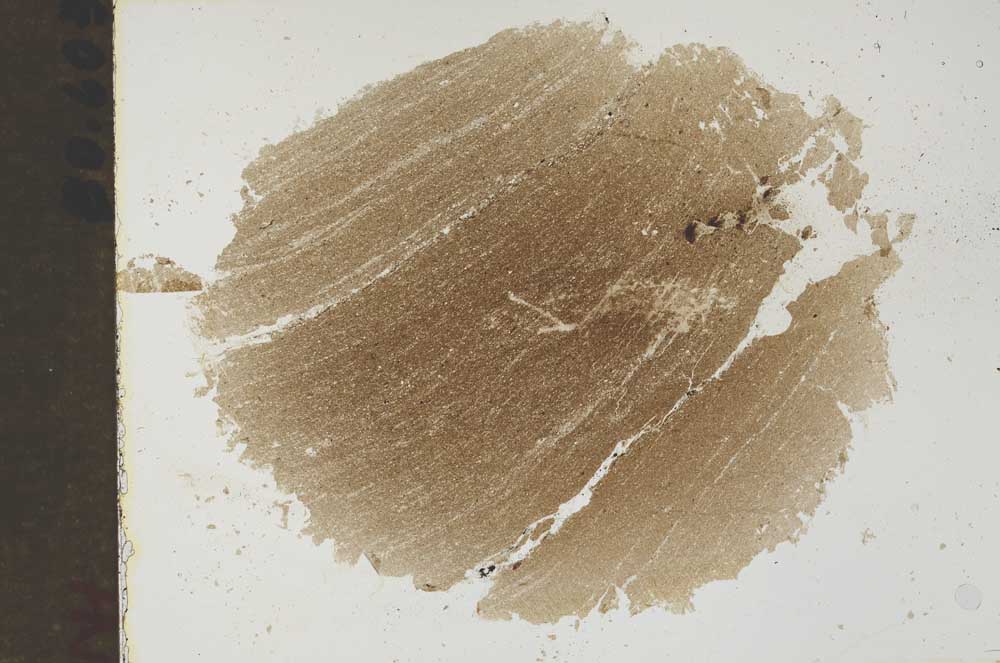 Plane Polarized, S46445