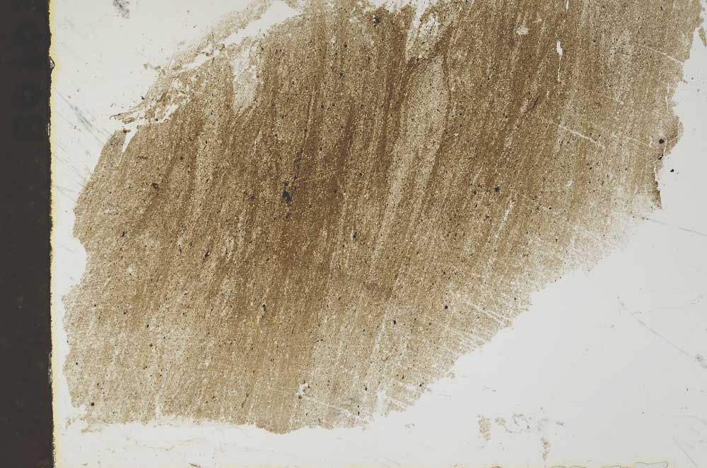 Plane Polarized, S46447