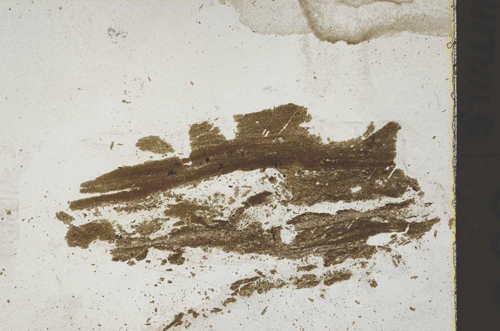 Plane Polarized, S46451