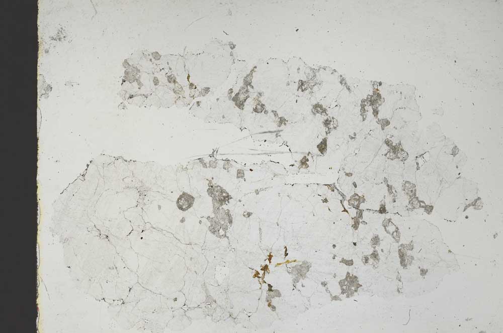 Plane Polarized, S46480