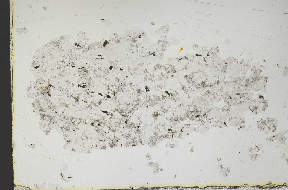 Plane Polarized, S46481