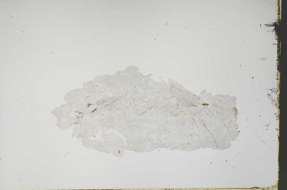 Plane Polarized, S46483