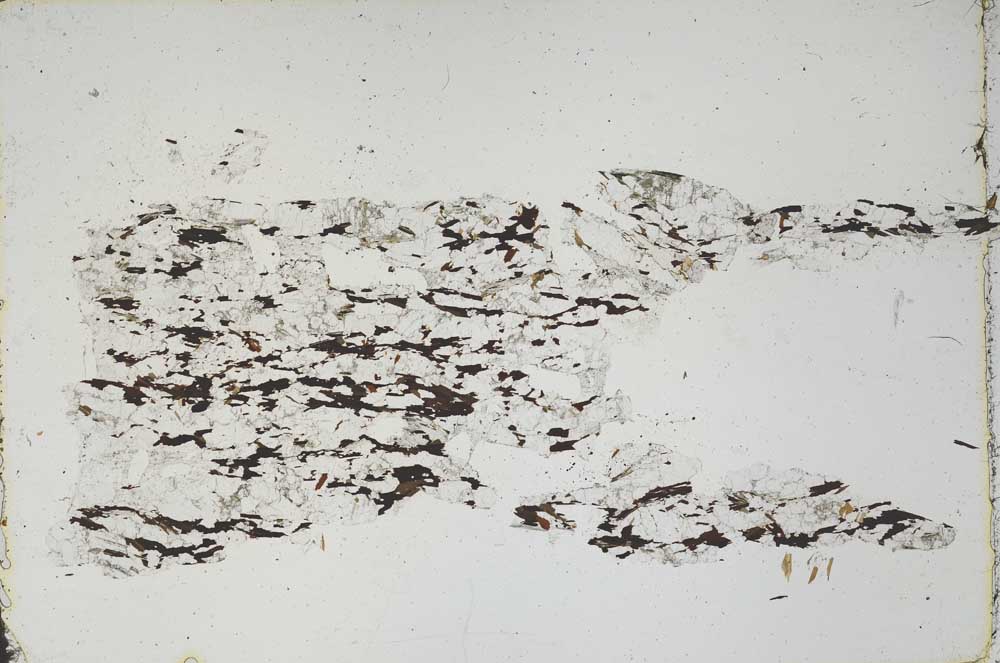 Plane Polarized, S46504
