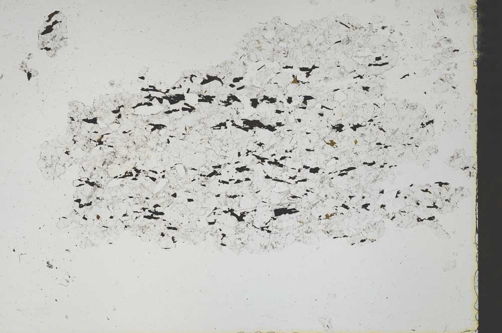 Plane Polarized, S46505