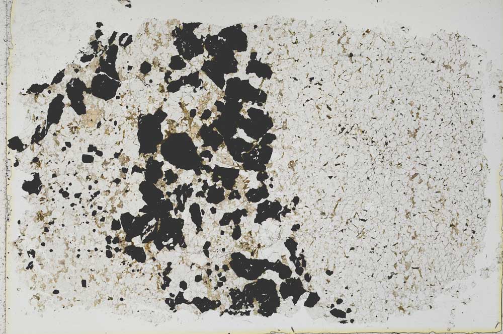 Plane Polarized, S46511