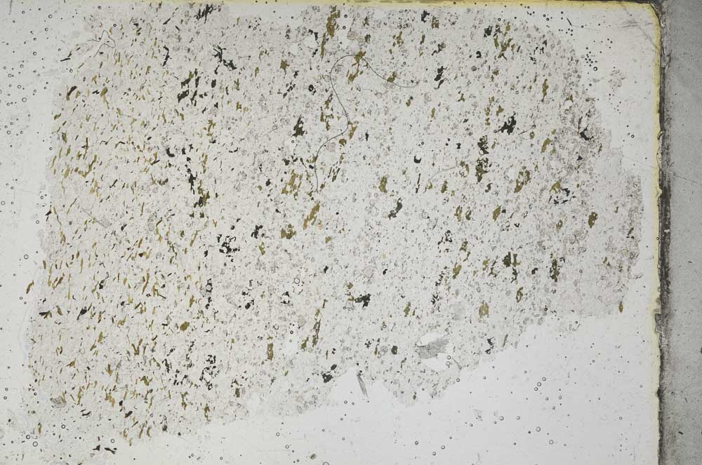 Plane Polarized, S46513