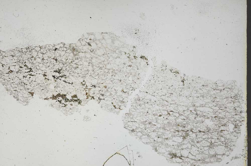 Plane Polarized, S46519